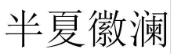 半夏徽澜 